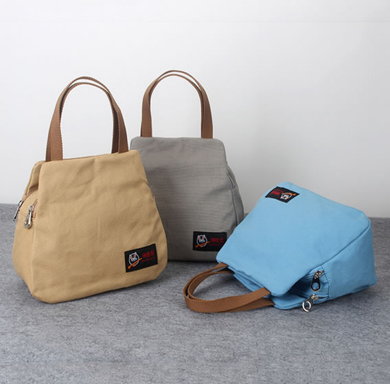 Trendy Canvas Lady Sling Bag